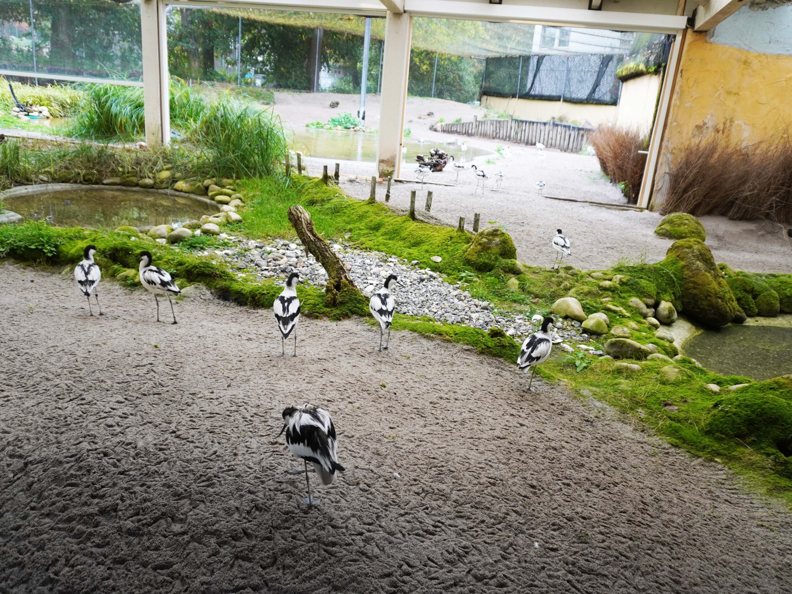 Bürgerstiftung Darmstadt ermöglicht neues „Fenster ins Wattenmeer“ im Zoo Vivarium